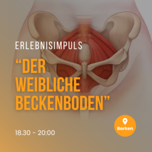 Erlebnisimpuls | "Der weibliche Beckenboden" | 03.02.26 | Borken