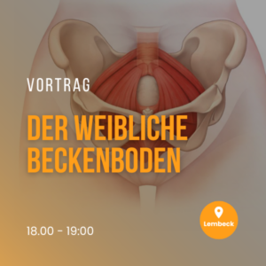 Vortrag | Der weibliche Beckenboden | 02.03.26 | Lembeck